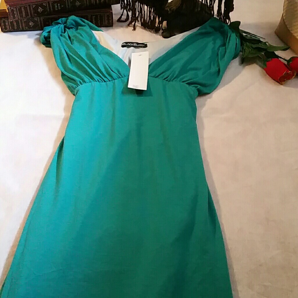 Blackberry dress